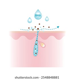 Beta Hydroxy Acids características ilustração vetorial sobre fundo branco. O BHA penetra profundamente no poro, desobstrui, dissolvendo o excesso de óleo, detritos e óleo solúvel. Cuidados com a pele e conceito de beleza.