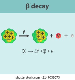 Beta Minus Decay Infographic With Equation. Formation Of New Element By A Change In Number Of Protons In Nucleus.