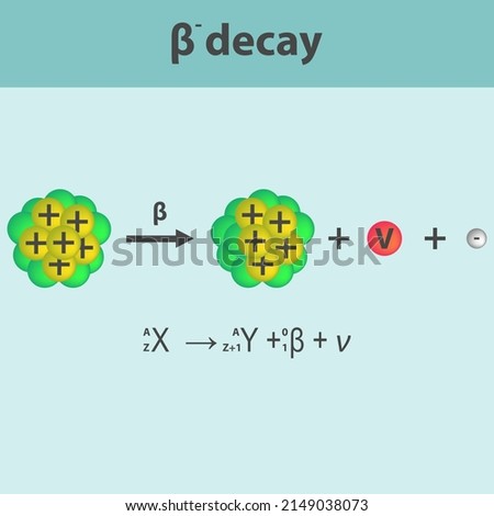 Beta minus Decay infographic with equation. Formation of new element by a change in number of protons in nucleus.