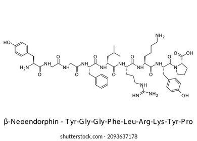 Beta Neoendorphin biomolecule molecular formula. Skeletal molecule structure vector eps10.