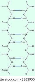 beta pleated sheet structure of proteins.