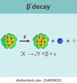 Beta Plus Decay Infographic With Equation. Formation Of New Element By A Change In Number Of Protons In Nucleus.