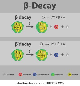 Beta Plus And Beta Minus Decay Infographic With Equation. Formation Of New Element By A Change In Number Of Protons In Nucleus.