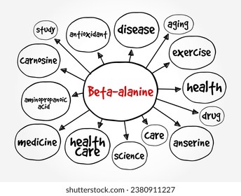 Beta-alanine is the building block of carnosine, a molecule that helps buffer acid in muscles, mind map text concept background