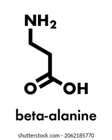 Beta-alanine molecule. Naturally occurring beta amino acid. Precursor of carnosine. Athletes often use beta-alanine supplements. Skeletal formula.