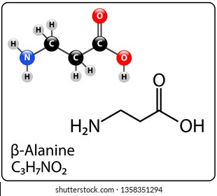 Beta-Alanine Molecule Structure