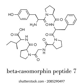 Beta-casomorphin peptide 7 molecule. Breakdown product of casein that may play a role in human diseases. Skeletal formula.