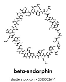 Beta-endorphin endogenous opioid peptide molecule. Skeletal formula.