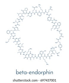 Beta-endorphin endogenous opioid peptide molecule. Skeletal formula.