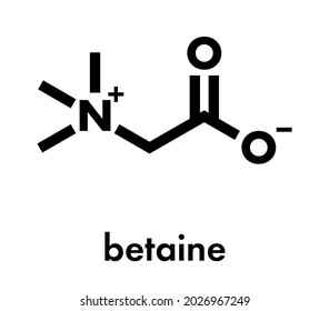 Betaine (glycine betaine, trimethylglycine) molecule. Originally found in sugar beet (Beta vulgaris). Skeletal formula.