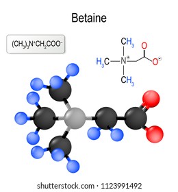 Betaine. Structure of a molecule. chemical formula and model of the betaine molecule. vector illustration for medical, educational and science use