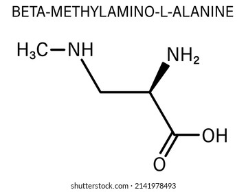 beta-Methylamino-L-alanine (BMAA) toxic amino acid molecule. Produced by cyanobacteria. Skeletal formula.