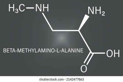 beta-Methylamino-L-alanine (BMAA) toxic amino acid molecule. Produced by cyanobacteria. Skeletal formula.