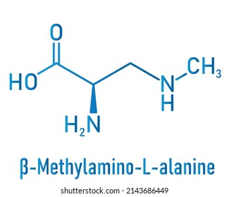 beta-Methylamino-L-alanine (BMAA) toxic amino acid molecule. Produced by cyanobacteria. Skeletal formula.