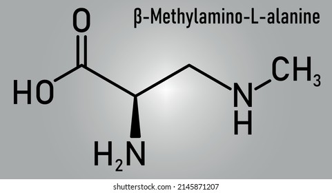 beta-Methylamino-L-alanine (BMAA) toxic amino acid molecule. Produced by cyanobacteria. Skeletal formula.