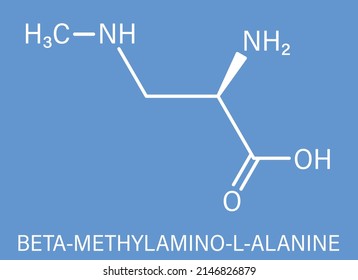 beta-Methylamino-L-alanine (BMAA) toxic amino acid molecule. Produced by cyanobacteria. Skeletal formula.