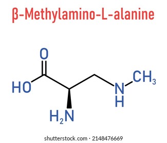 beta-Methylamino-L-alanine (BMAA) toxic amino acid molecule. Produced by cyanobacteria. Skeletal formula.