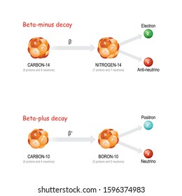 Beta-plus and Beta-minus decay. The substance Change the number of protons in the nucleus and forms a new stable element (the total number of protons and neutrons remains the same).