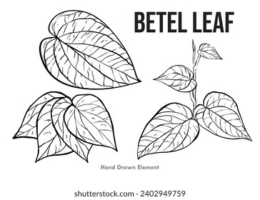 Betel leaf drawing design, betel leaf plant in black and white style, simple black and white hand drawing design