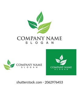Betel leaf logo and symbol vector