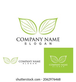 Betel leaf logo and symbol vector