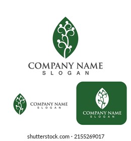 Betel leaf logo and symbol vector