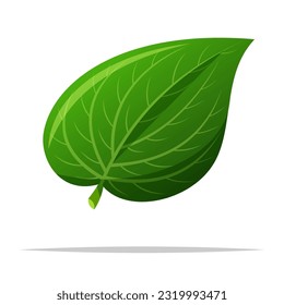 Betel leaf vector isolated illustration