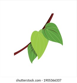 betel leaves and stems visualization digital design graphic 2d hd illustration from indonesia