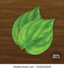 Betel leaves used for Pan also called as pan leafs on wooden background