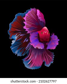 Betta fish with beautiful colors. vector graphics