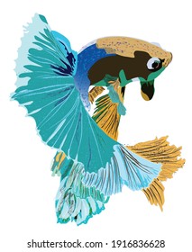 Betta fish with beautiful tails and move gracefully and colorful. Aquatic fish for pets