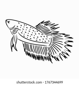 Betta Fish Crowntail Line Art For Logo