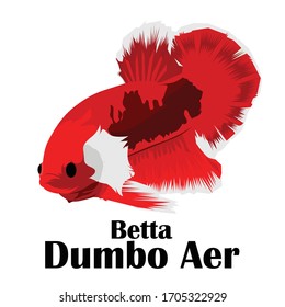 Betta Fish Dumbo Aer Vector Illustration