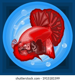 betta fish or fighting fish in the aquarium, Indonesian people call it (Ikan Cupang), as a template, background or print. vector illustration.