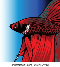 betta fish halfmoon red beauty animal logo vector wild