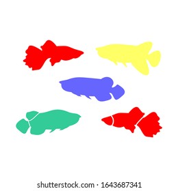 betta fish icon vector illustration eps 10
