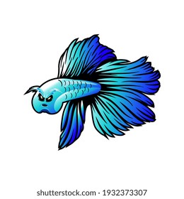 Betta fish images, beautiful Betta fish images give a luxurious impression, it can be used for logos, books, posters, flyers, advertisements, billboards, stickers.
