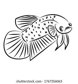 Betta Fish Line Art For Logo