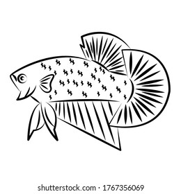 Betta Fish Line Art Para Logo