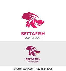 Betta fish logo animal beauty modern design style vector