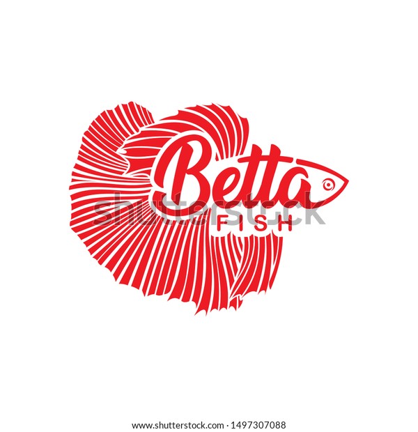 Betta Fish Logo Design Betta Writing Stock Vector Royalty Free