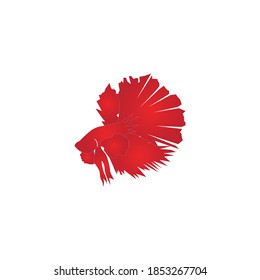 Betta fish logo vector template