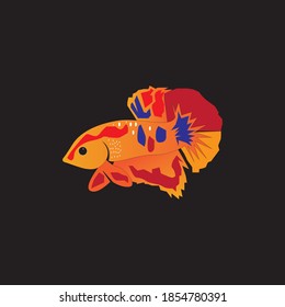 Betta fish logo vector template