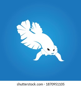 Betta fish logo vector template