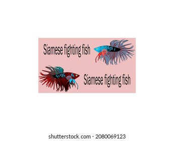 betta fish with a minimalist design