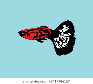 pez betta o pez betta, sobre fondo azul