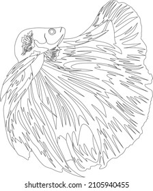betta fish outline illustration. vector graphics. tropical fish. Siamese fighting fish