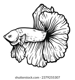 A betta fish outline style. Simple design. Hand drawing. You can give color you want. Vector illustration