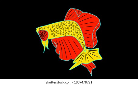 Betta fish - silver and gold