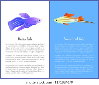 Betta fish and swordtail fish icons double color. Freshwater aquarium pets on blue and white color background in cartoon style vector illustration